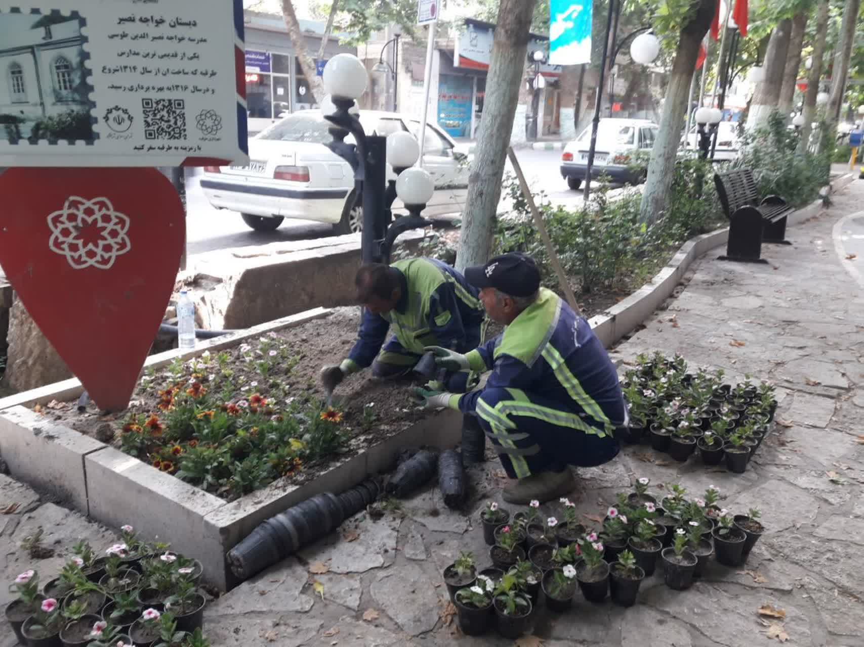 گلکاری خیابان صاحب الزمان عج طرقبه