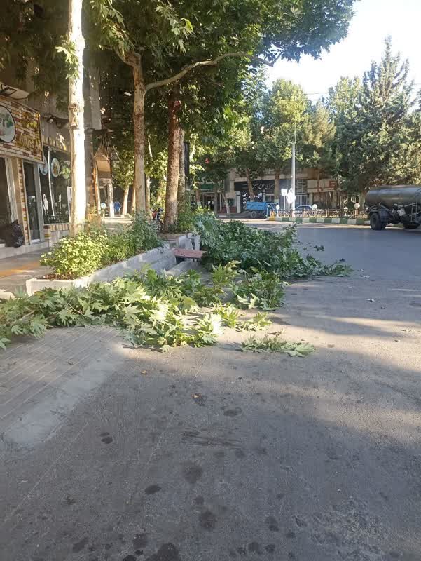 اخبار طرقبه