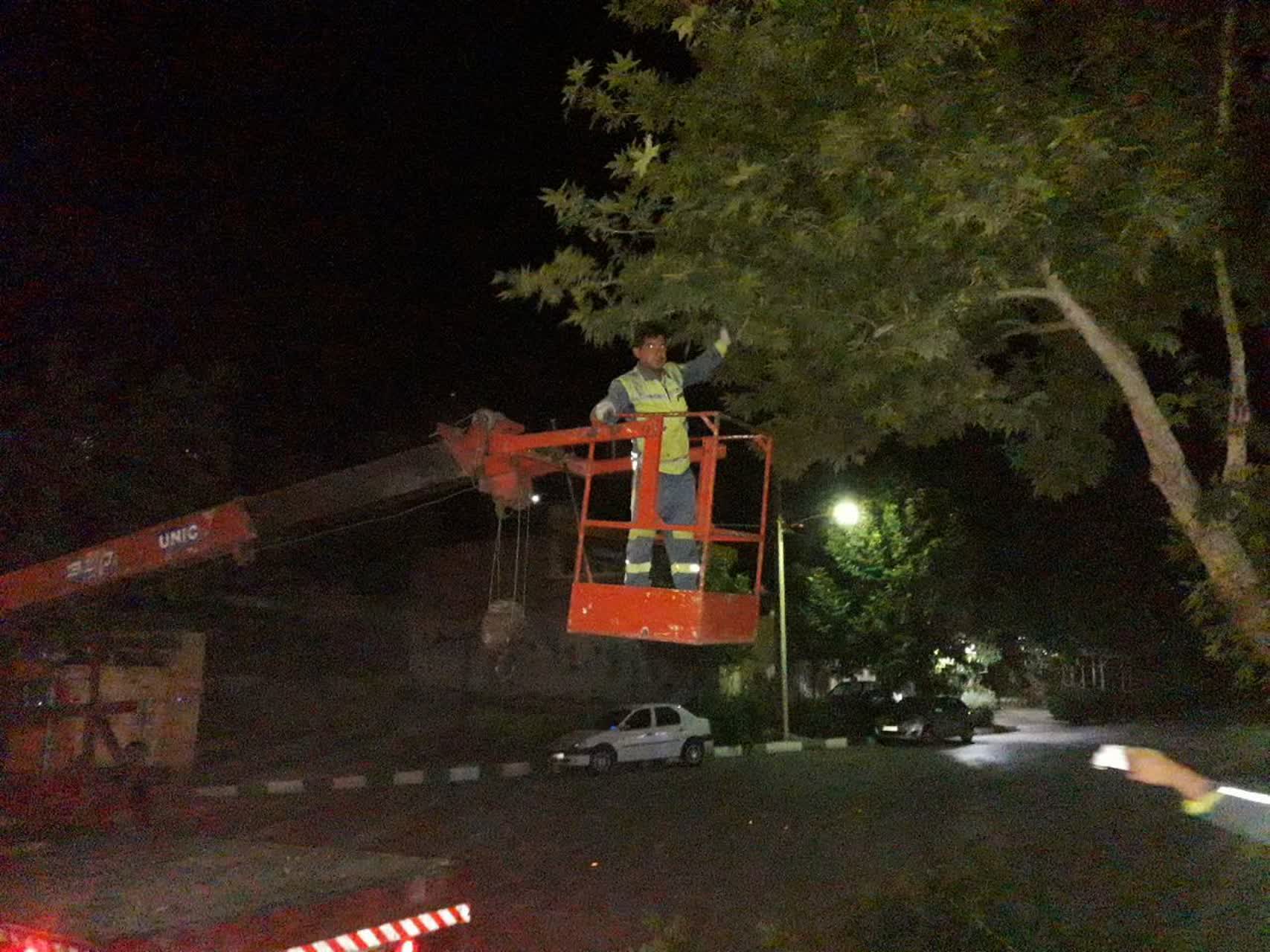 اخبار طرقبه