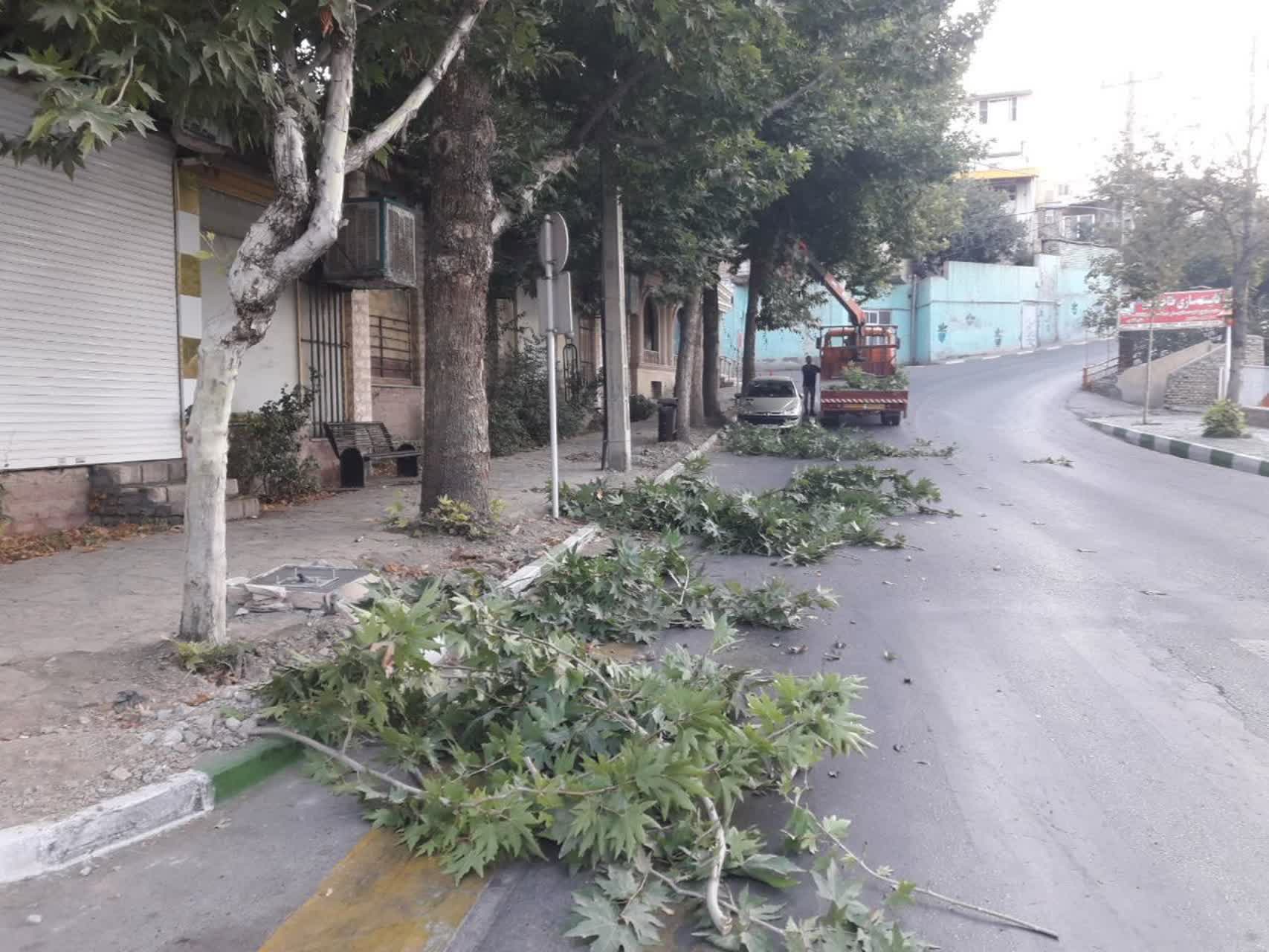 اخبار طرقبه