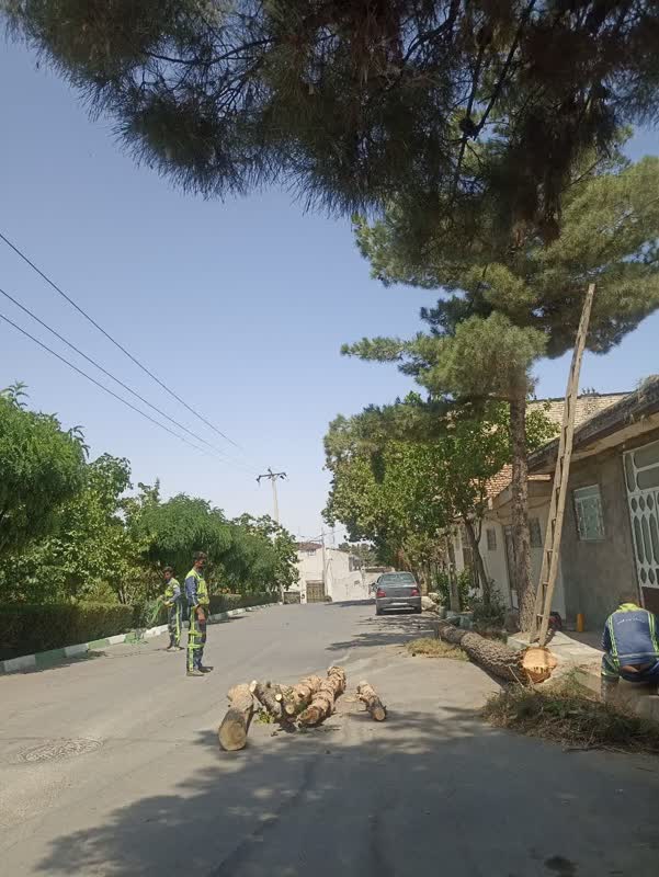 اخبار طرقبه