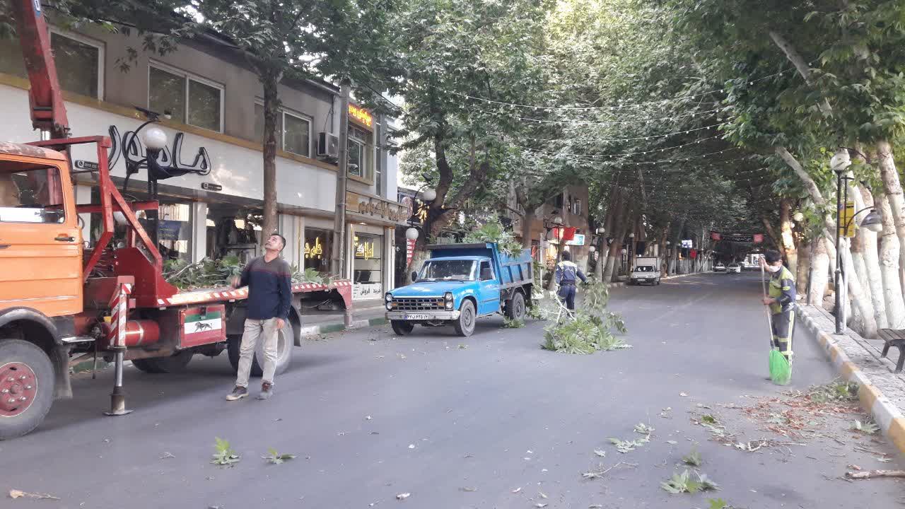 اخبار طرقبه