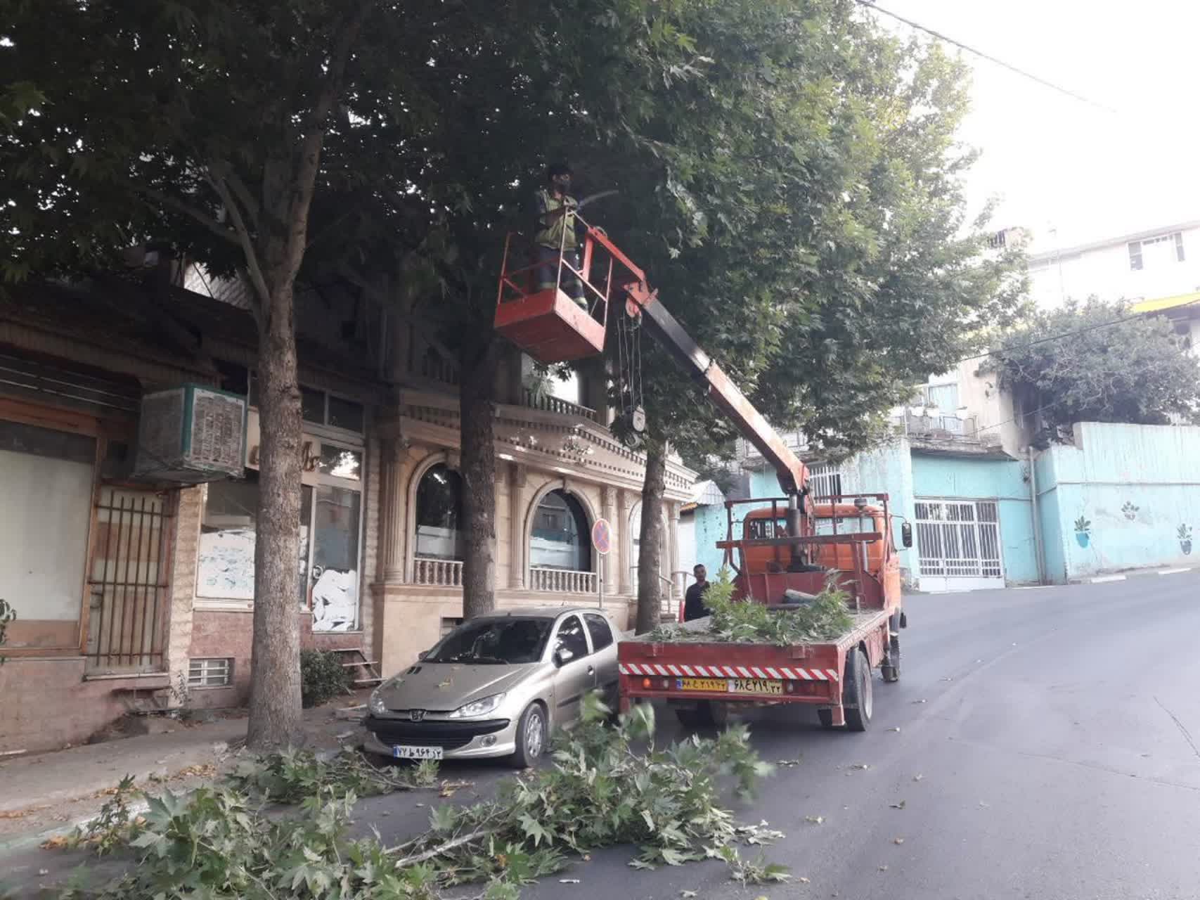 اخبار طرقبه