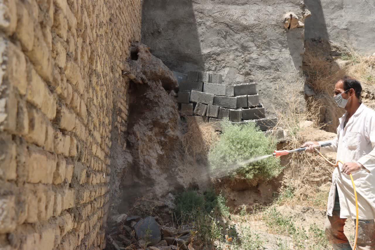 اخبار طرقبه