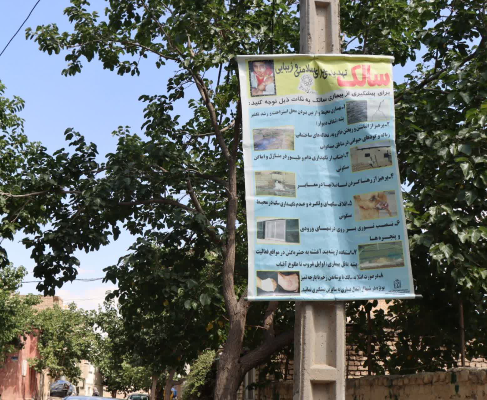 اخبار طرقبه