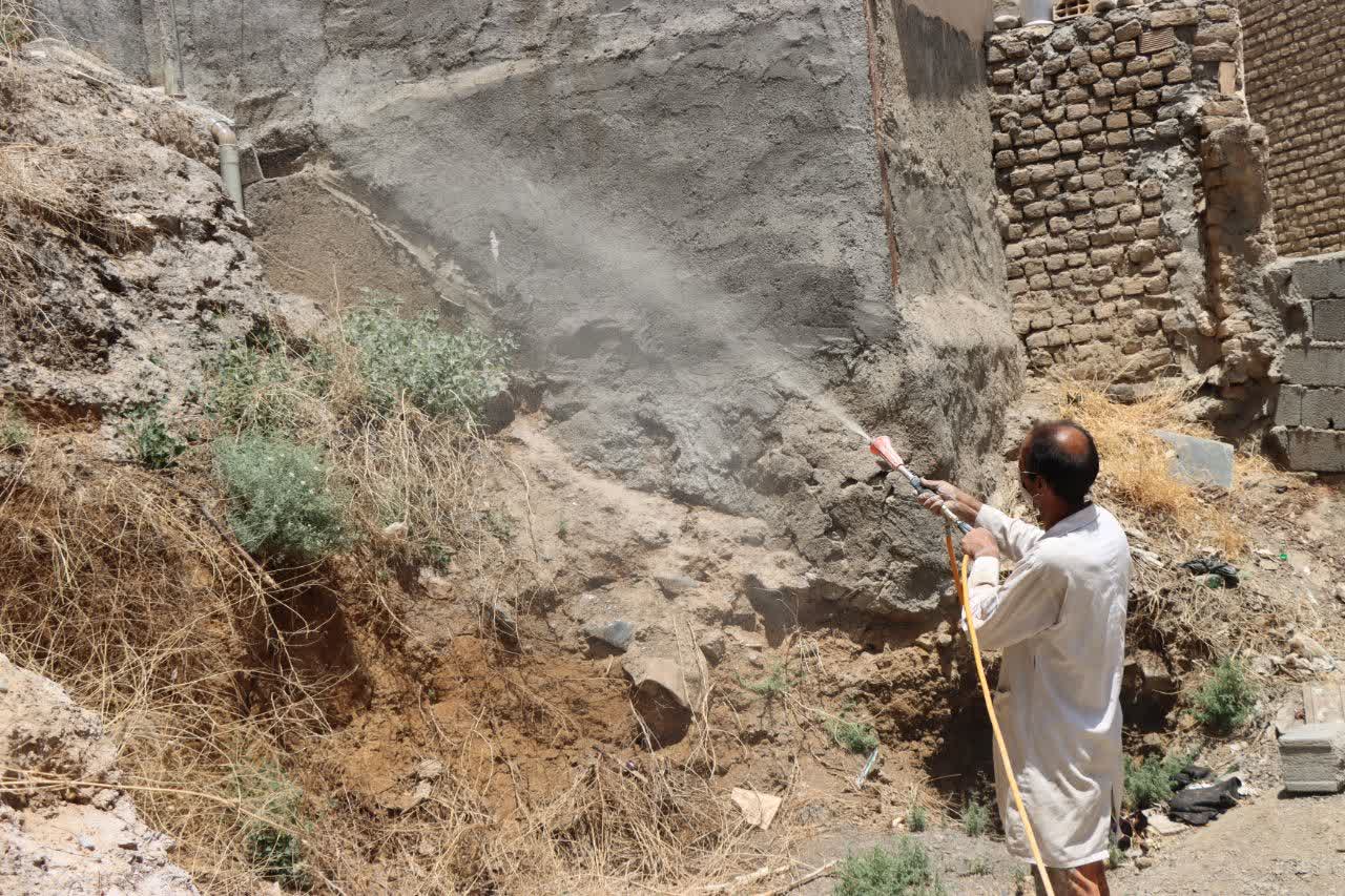 اخبار طرقبه