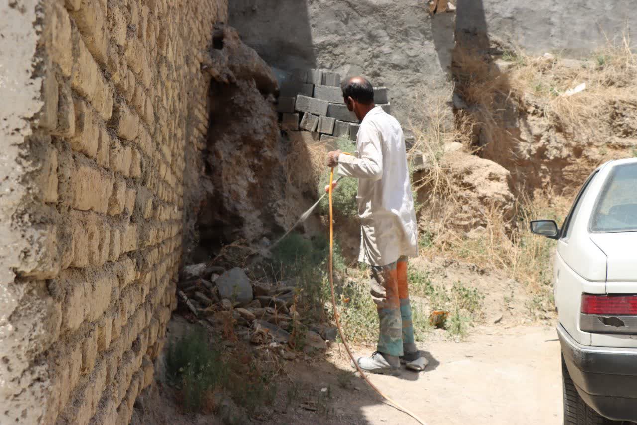 اخبار طرقبه
