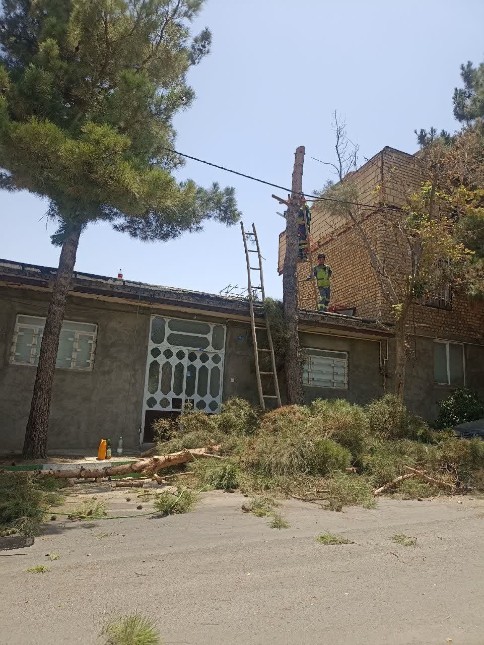اخبار طرقبه