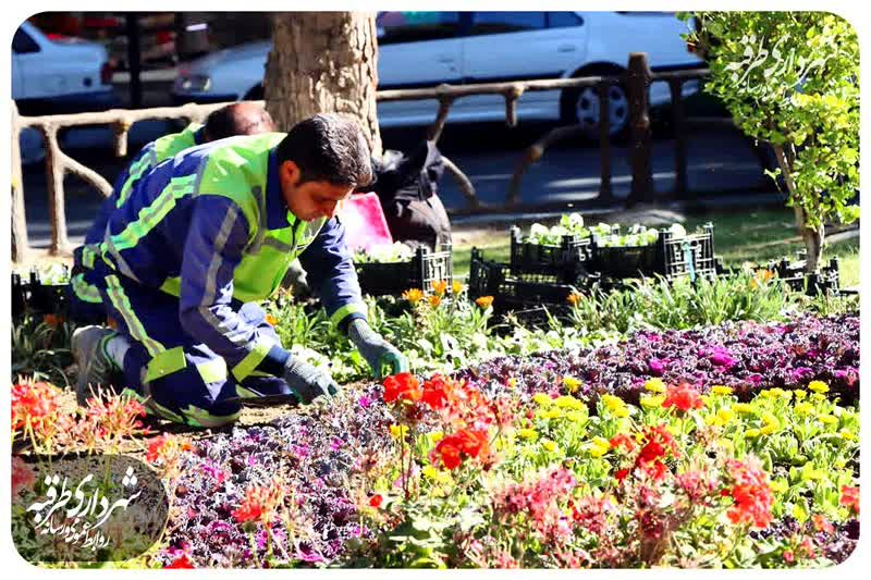 اخبار طرقبه