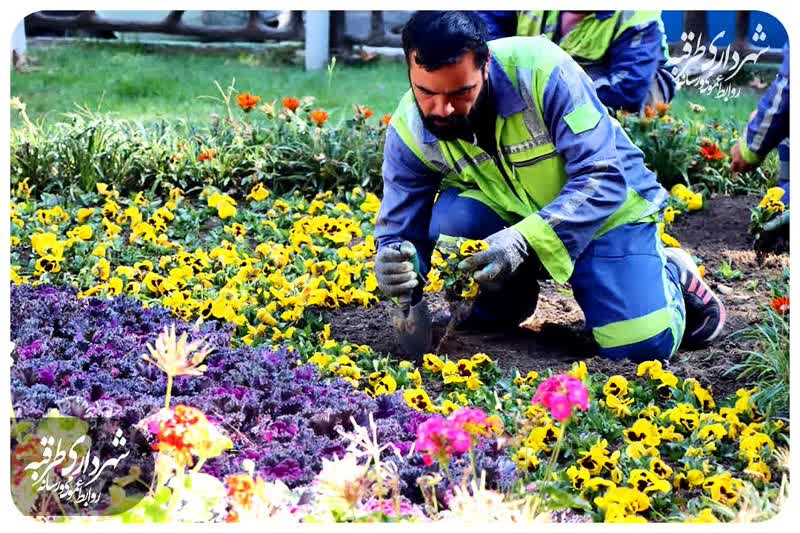 اخبار طرقبه