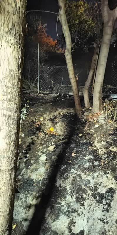 اخبار طرقبه