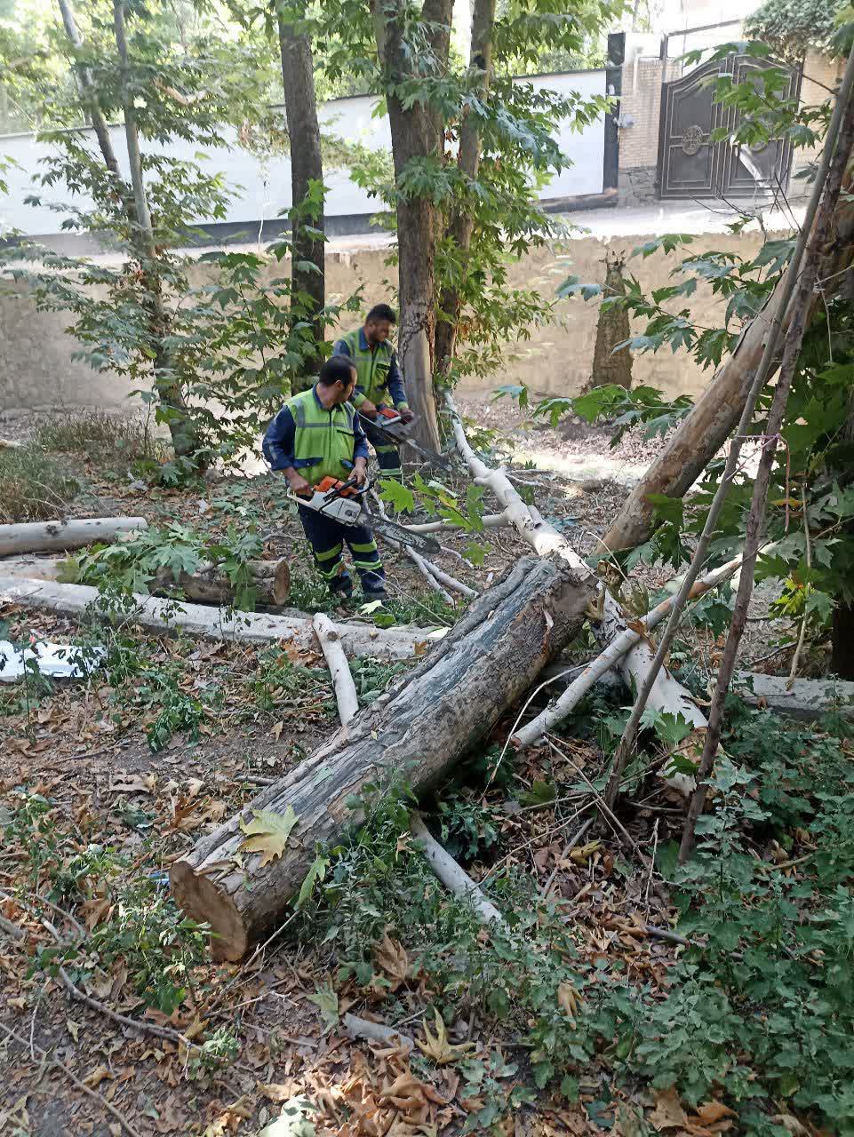 اخبار طرقبه