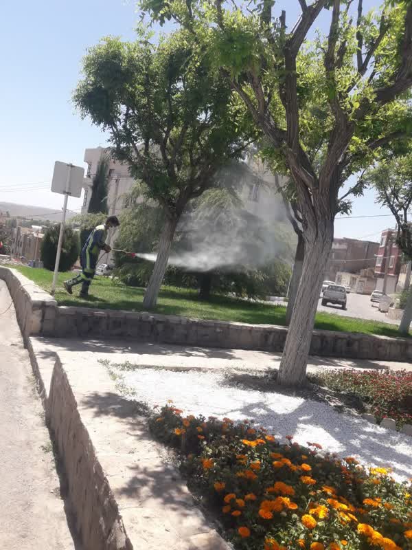 اخبار طرقبه