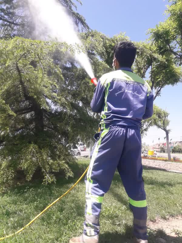 اخبار طرقبه