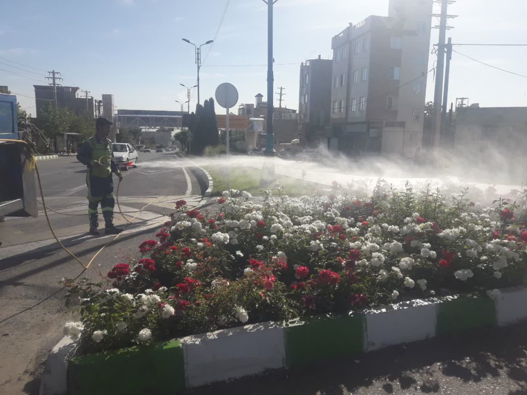 اخبار طرقبه