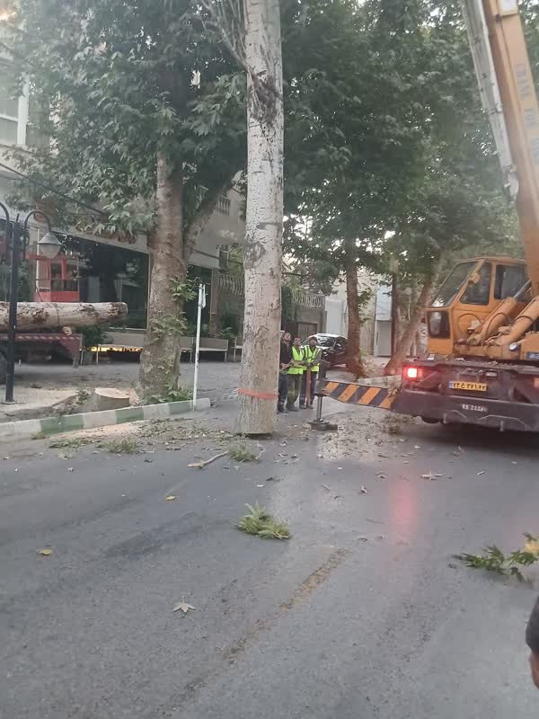 اخبار طرقبه