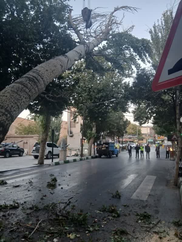 اخبار طرقبه