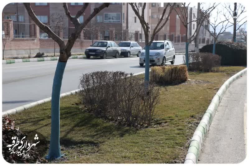 اخبار طرقبه