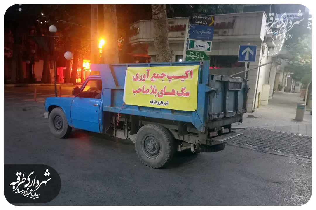 🔰جمع‌آوری بیش از ۳۰۰ قلاده سگ‌ بلاصاحب از سطح شهر طرقبه