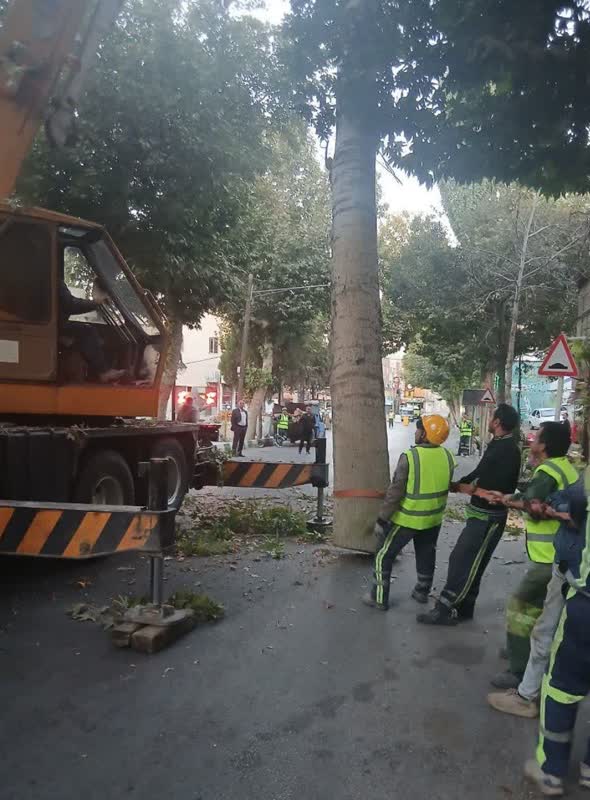 اخبار طرقبه