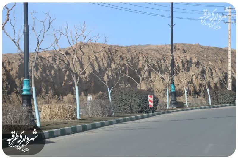 اخبار طرقبه