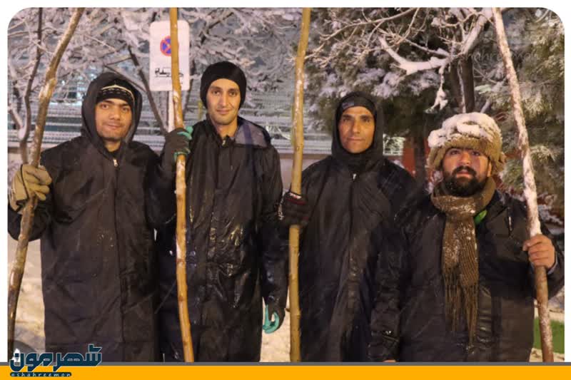 اخبار طرقبه